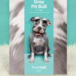 Gray Pit Bull Pop-Up Pup envelope