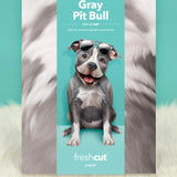 Gray Pit Bull Pop-Up Pup envelope