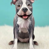 Gray Pit Bull Pop-Up Pup