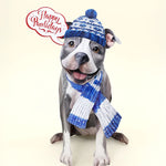 Holiday Pit Bull Pop-Up Card FreshCut Paper