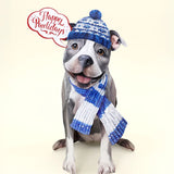 Holiday Pit Bull Pop-Up Card FreshCut Paper