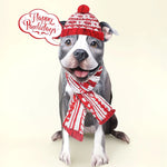 Holiday Pit Bull Pop-Up Card FreshCut Paper