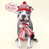 Holiday Pit Bull Pop-Up Card FreshCut Paper