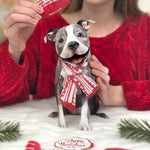 Holiday Pit Bull Pop-Up Card FreshCut Paper
