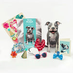 Gray Pit Bull Pop-Up Pup with accessories