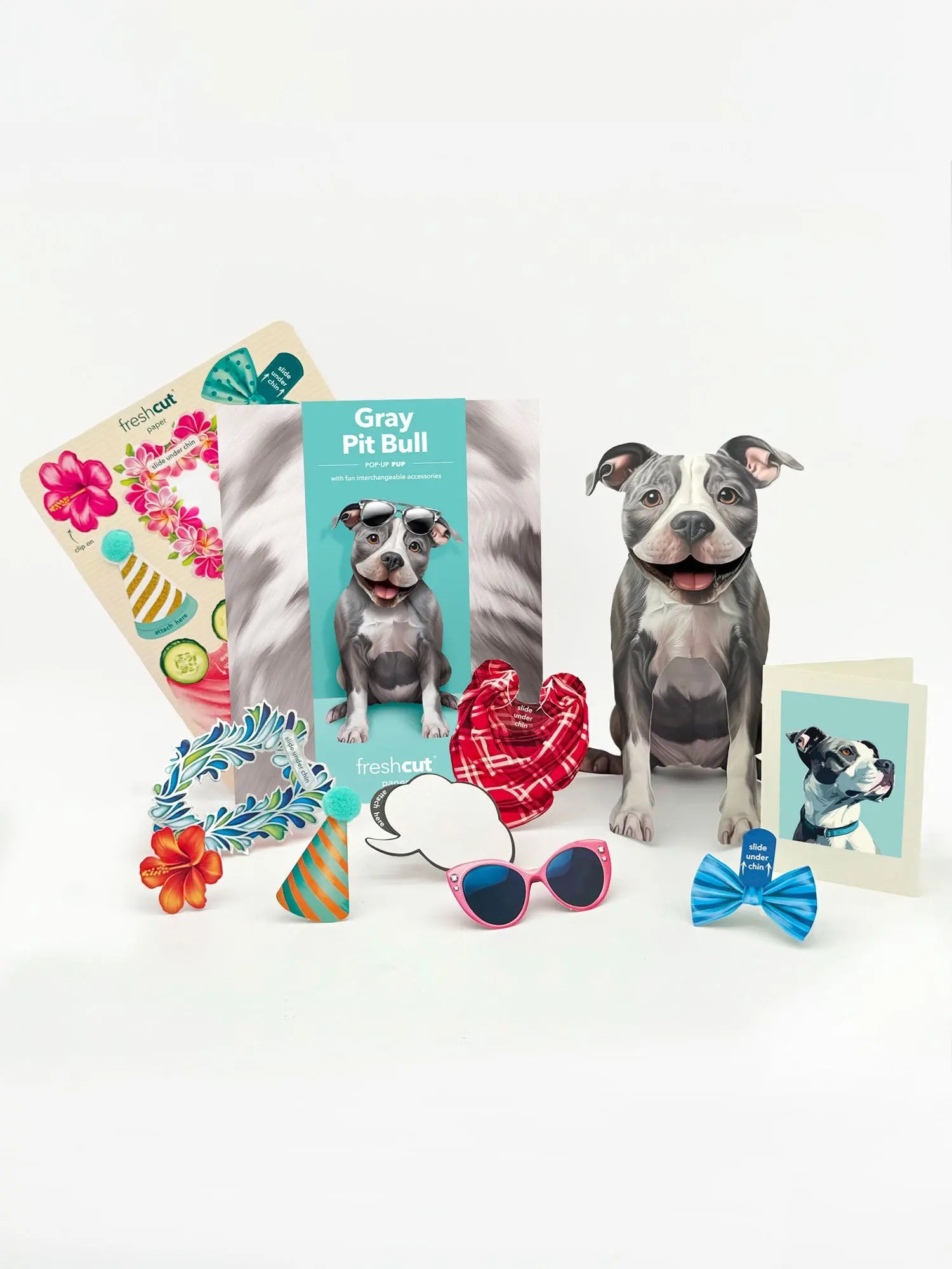 Gray Pit Bull Pop-Up Pup with accessories