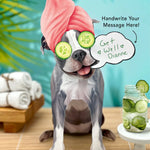 Gray Pit Bull Pop-Up Pup with spa day accessories