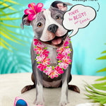 Gray Pit Bull Pop-Up Pup with vacation accessories