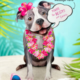 Gray Pit Bull Pop-Up Pup with vacation accessories