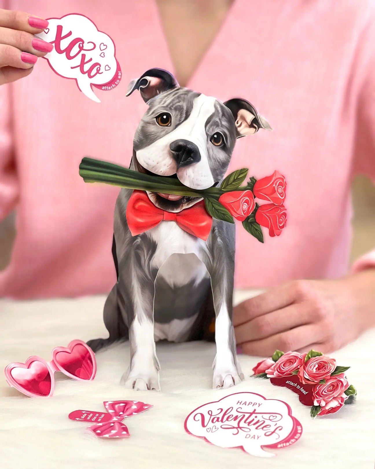 Valentine's Day Pit Bull Pop-Up Card FreshCut Paper