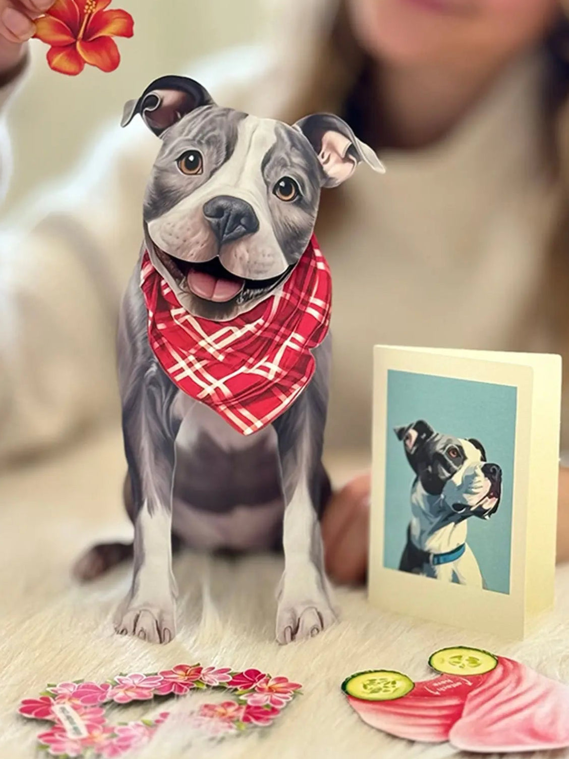 Gray Pit Bull Pop-Up Pup with matching blank notecard and accessories