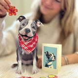 Gray Pit Bull Pop-Up Pup with matching blank notecard and accessories