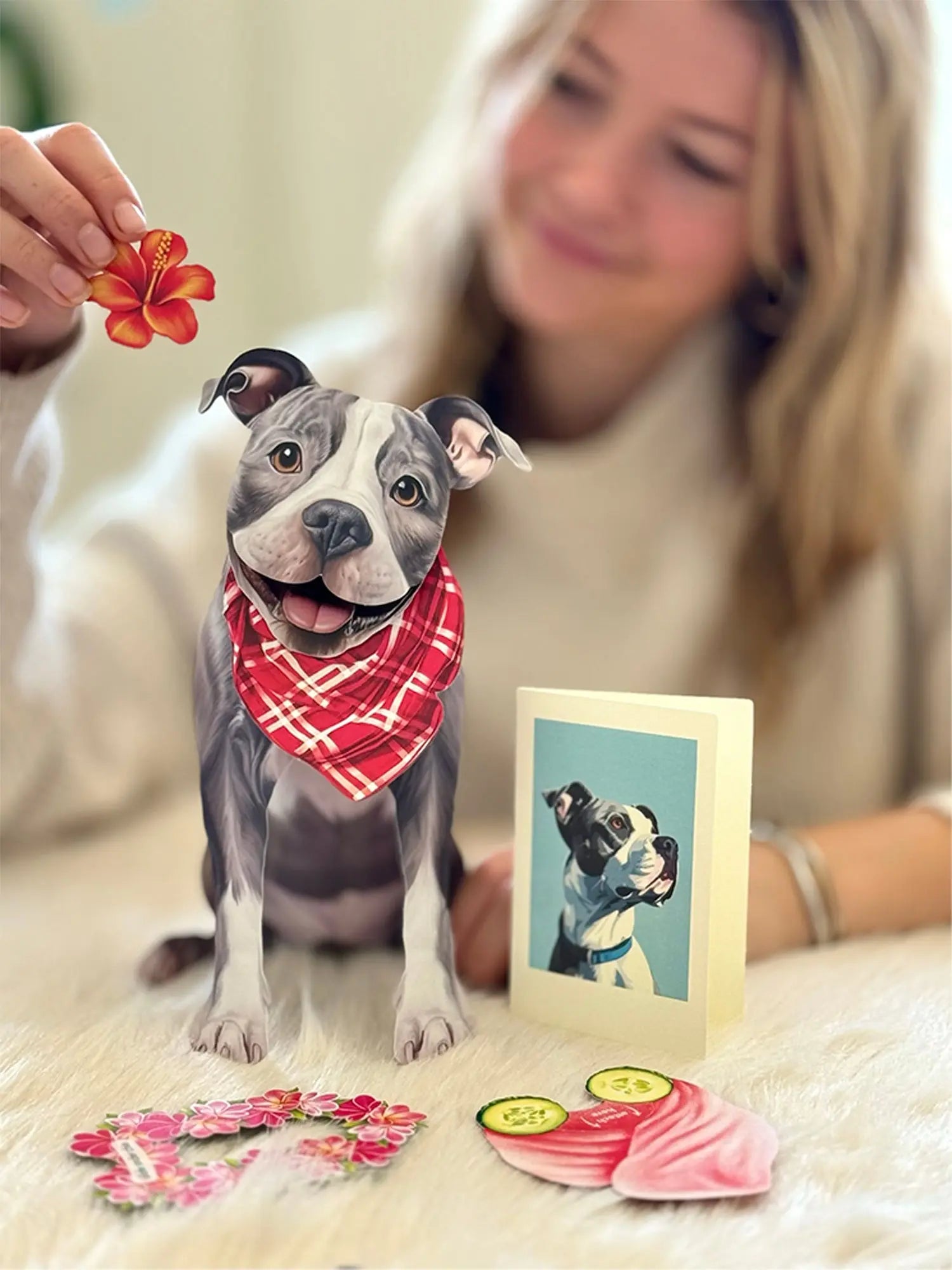 Gray Pit Bull Pop-Up Pup with matching blank notecard and accessories