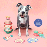 Birthday Pit Bull Pop-Up Card FreshCut Paper