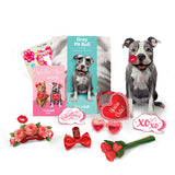 Valentine's Day Gray Pitbull Pop-Up Card