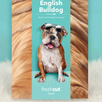 English Bulldog Pop-Up Pup envelope