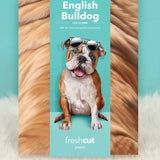 English Bulldog Pop-Up Pup envelope