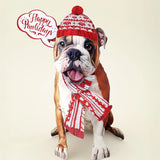 Holiday English Bulldog Pop-Up Card FreshCut Paper