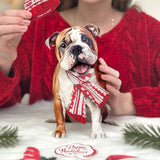Holiday English Bulldog Pop-Up Card FreshCut Paper