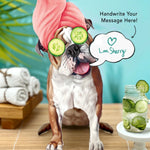 English Bulldog Pop-Up Pup with spa day accessories