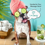 English Bulldog Pop-Up Pup with spa day accessories