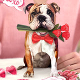 Valentine's Day English Bulldog Pop-Up Card