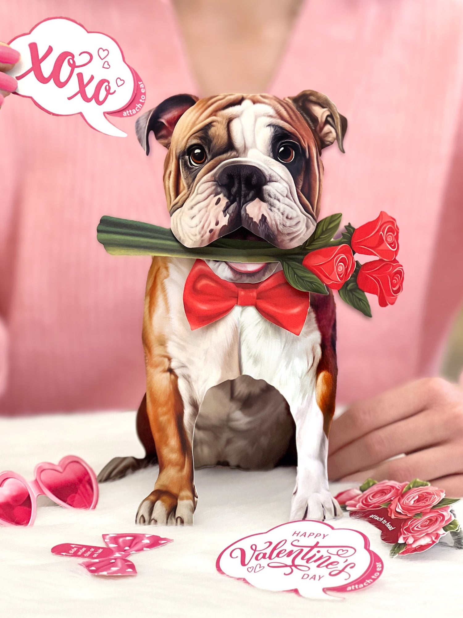 Valentine's Day English Bulldog Pop-Up Card
