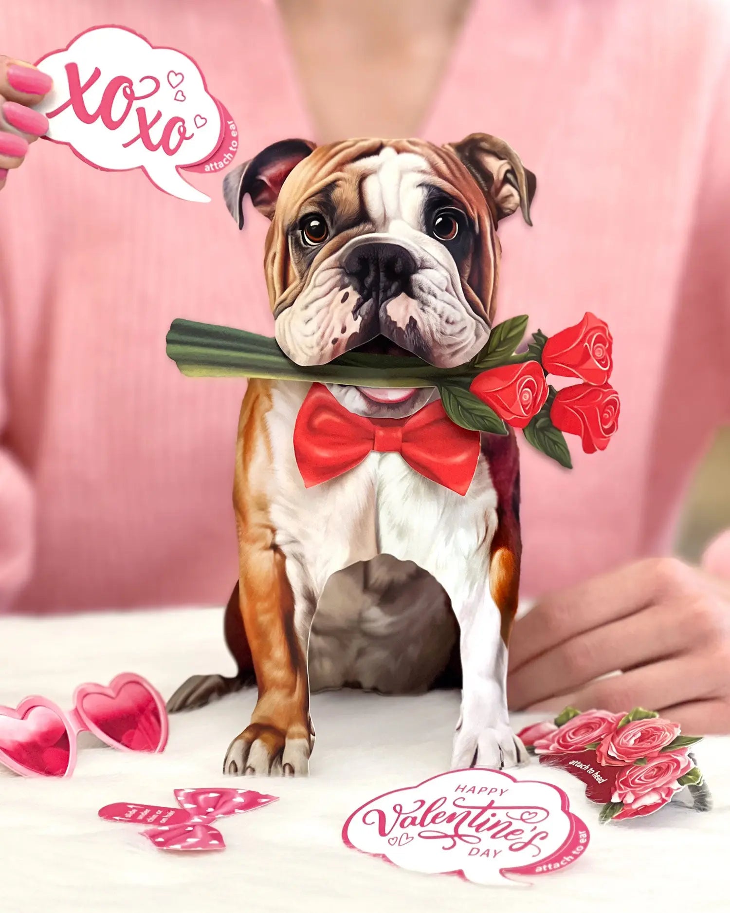 Valentine's Day English Bulldog Pop-Up Card FreshCut Paper