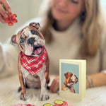 English Bulldog Pop-Up Pup with matching blank notecard and accessories