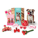 Valentine's Day English Bulldog Pop-Up Card