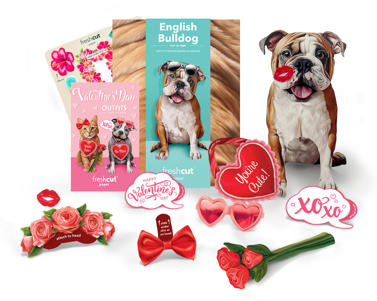 Valentine's Day English Bulldog Pop-Up Card