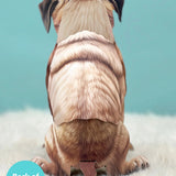 Back of Pug Pop-Up Pup