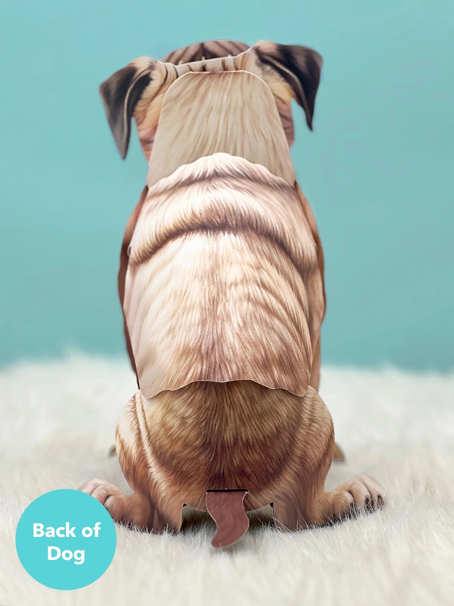Back of Pug Pop-Up Pup