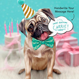 Pug Pop-Up Pup with birthday accessories