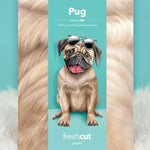 Pug Pop-Up Pup envelope