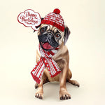 Holiday Pug Pop-Up Card FreshCut Paper