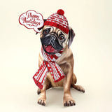 Holiday Pug Pop-Up Card FreshCut Paper