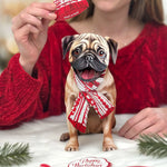 Holiday Pug Pop-Up Card FreshCut Paper