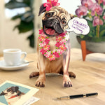 Freshcut paper Pug pop-up card on desk