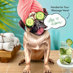 Pug Pop-Up Pup with spa day accessories