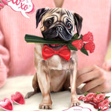 Valentine's Day Pug Pop-Up Card