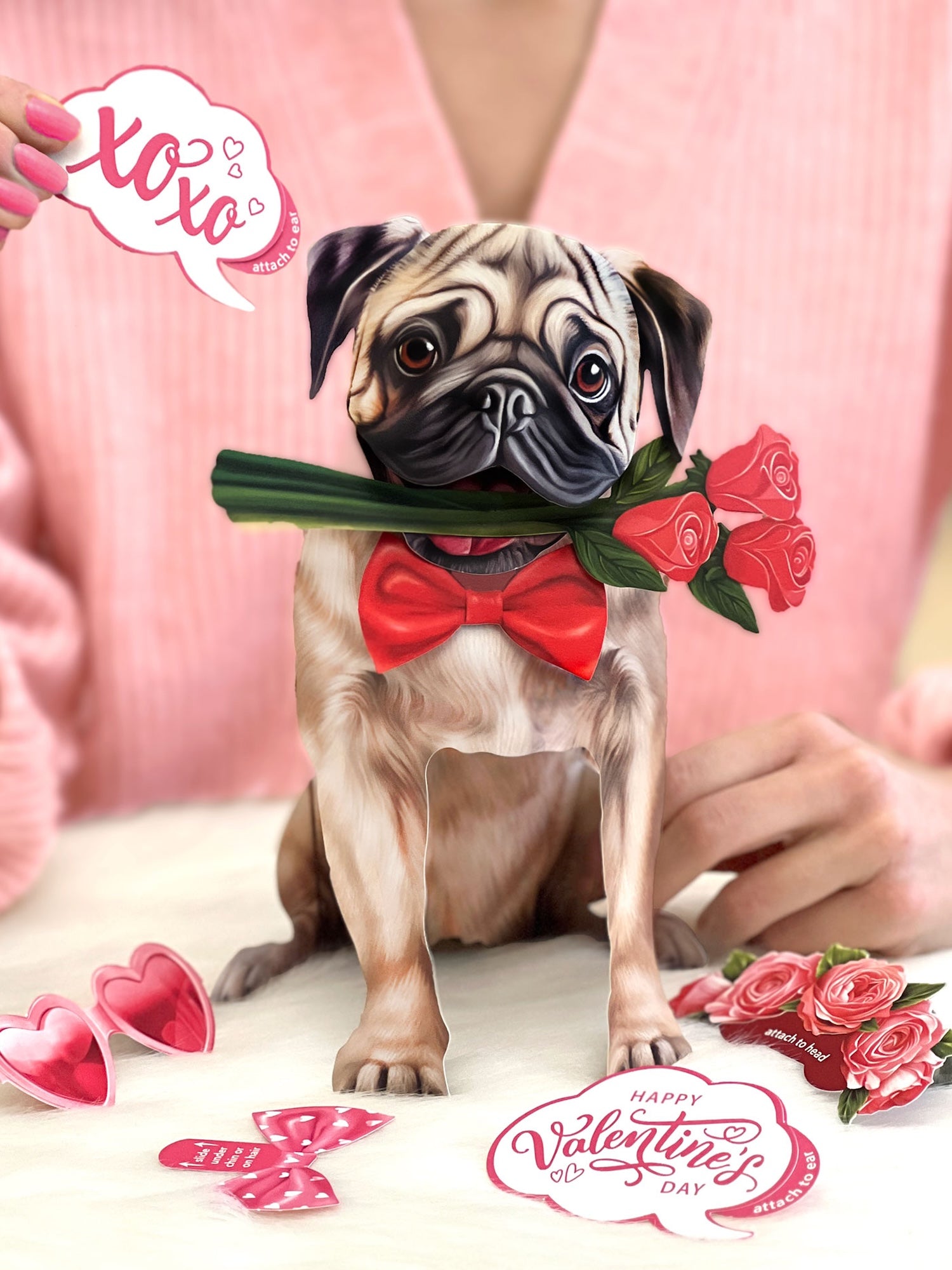 Valentine's Day Pug Pop-Up Card