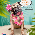 Pug Pop-Up Pup with vacation accessories