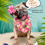 Pug Pop-Up Pup with vacation accessories