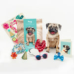 Pug Pop-Up Pup with accessories
