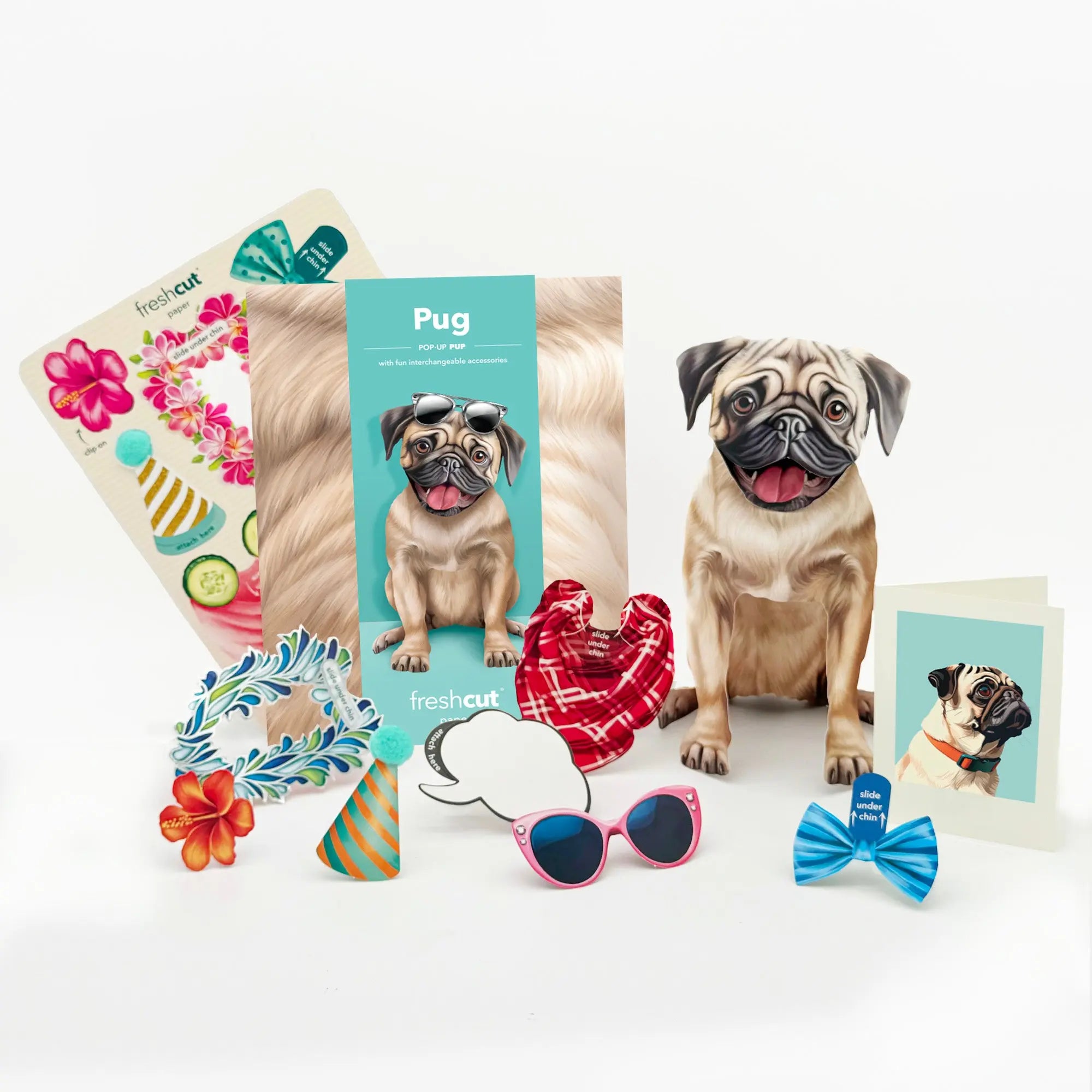 Pug Pop-Up Pup with accessories