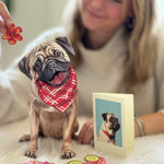 Pug Pop-Up Pup with matching blank notecard and accessories