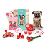 Valentine's Day Pug Pop-Up Card