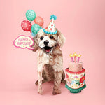 Birthday Poodle Pop-Up Card FreshCut Paper