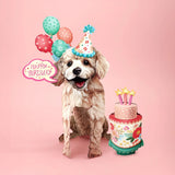 Birthday Poodle Pop-Up Card FreshCut Paper